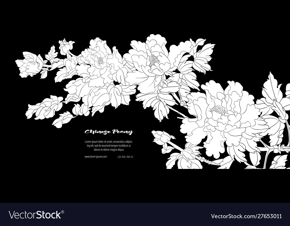 Peony tree branch with flowers Royalty Free Vector Image