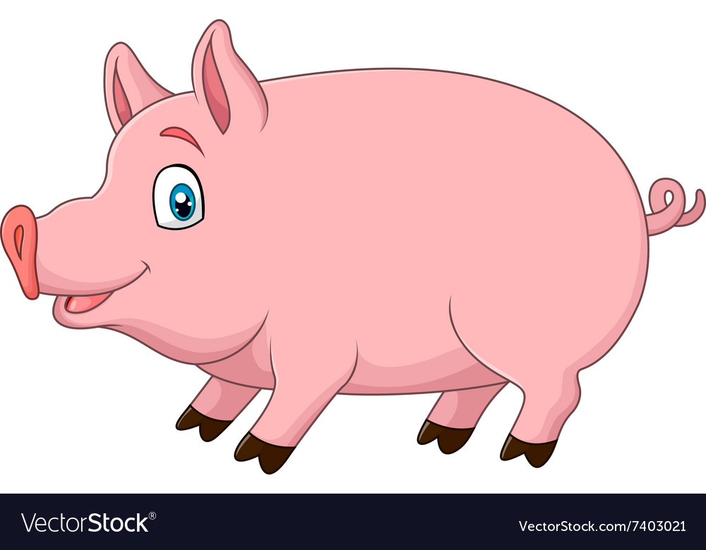 Cute pig isolated on white background