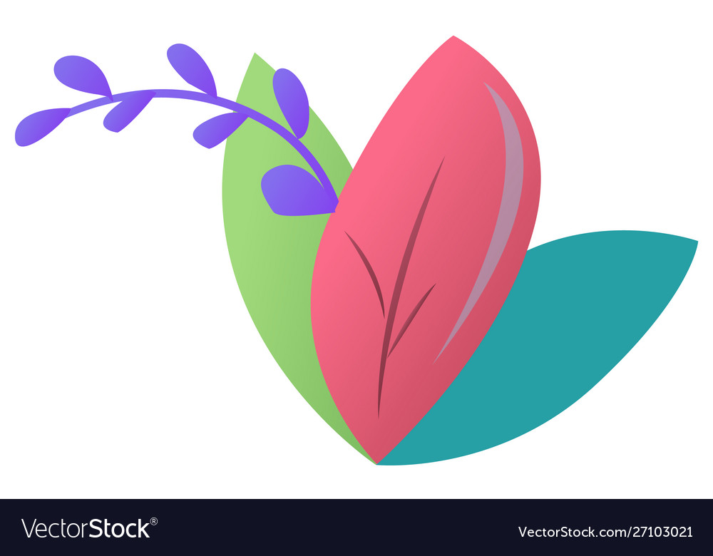 Foliage leaf spring element blooming floral Vector Image
