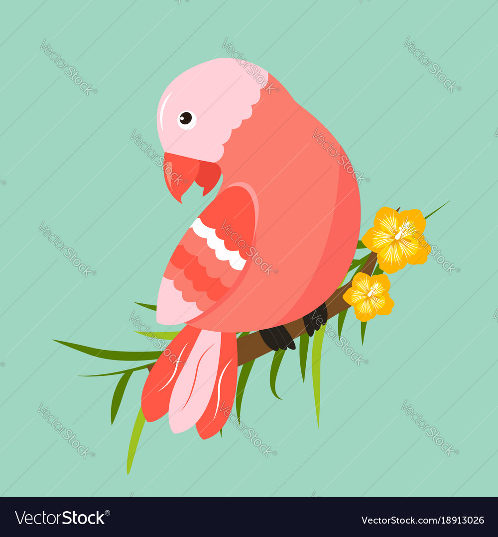 Image of bright tropical bird on palm branch