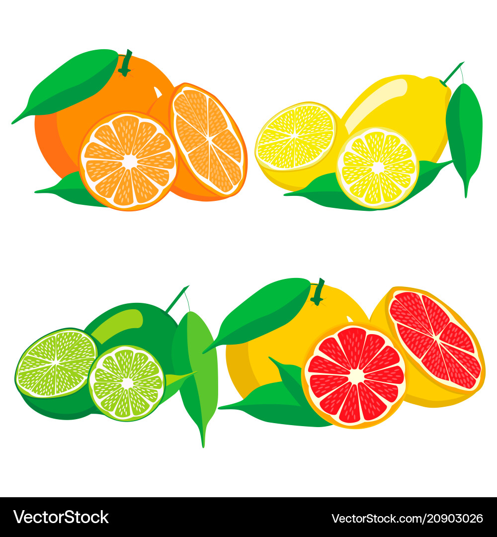 Set Royalty Free Vector Image - VectorStock