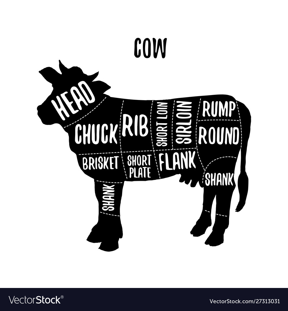 Cow meat cutting charts Royalty Free Vector Image