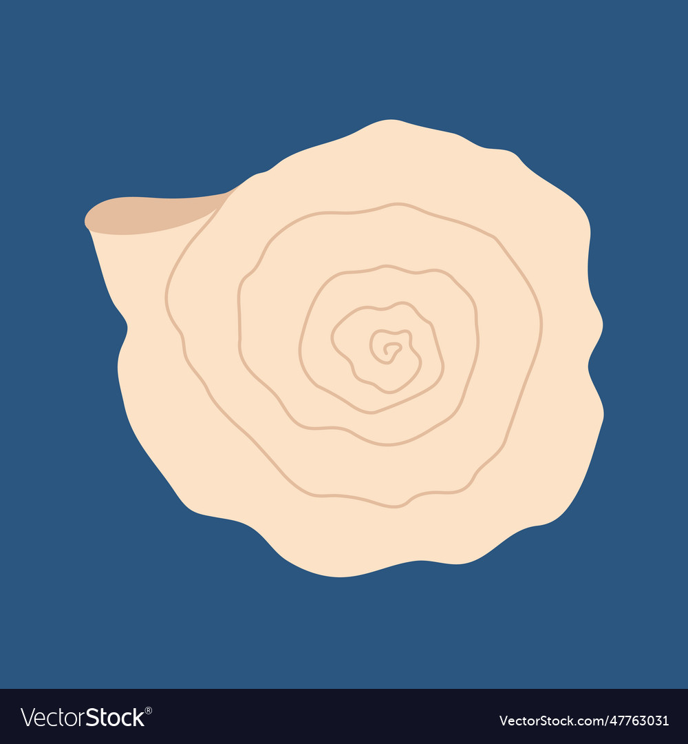 Spiral shell flat