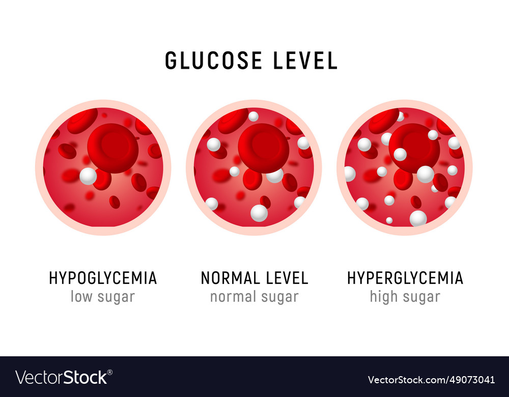 Glucose blood level sugar test diabetes insulin Vector Image