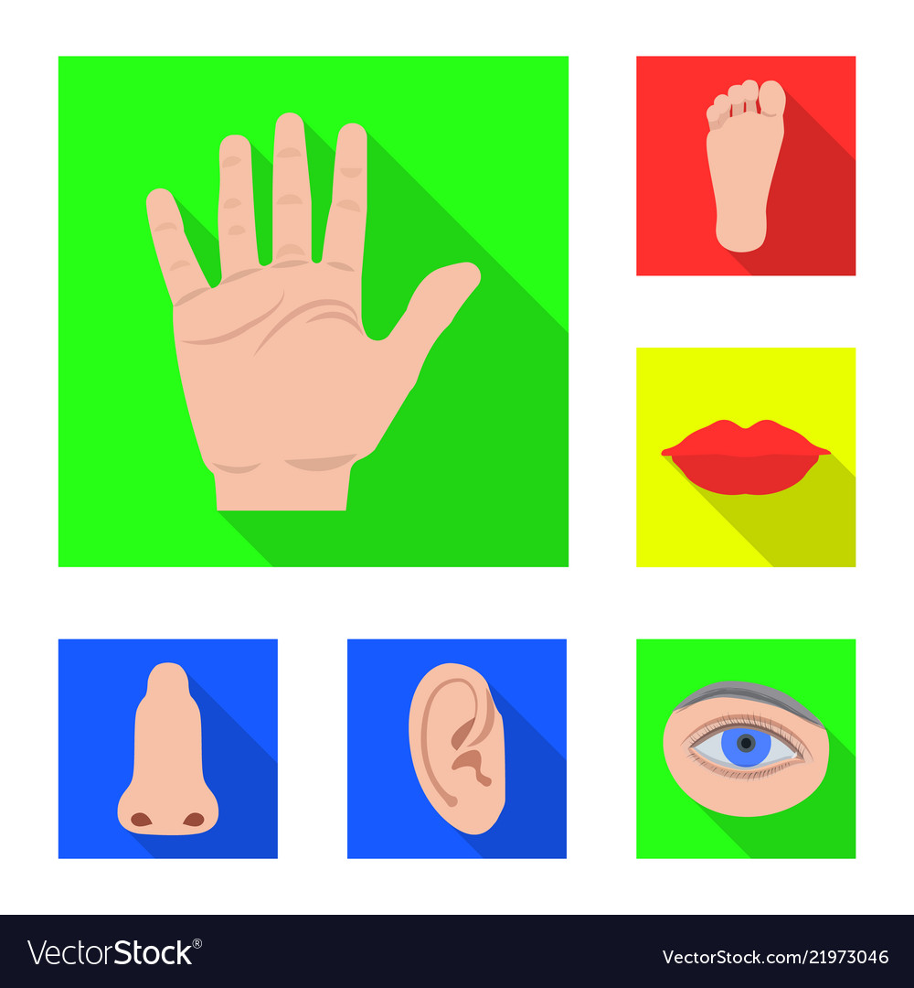 Isolated object of human and part sign set