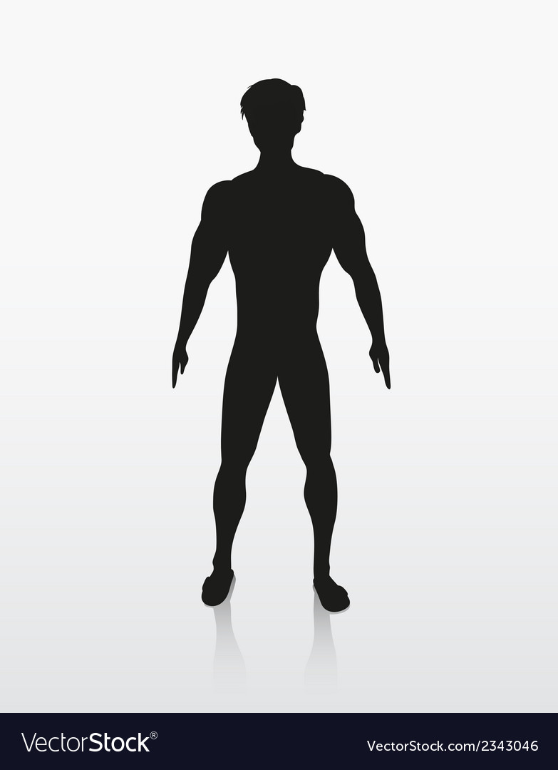 Silhouette Human Body Royalty Free Vector Image