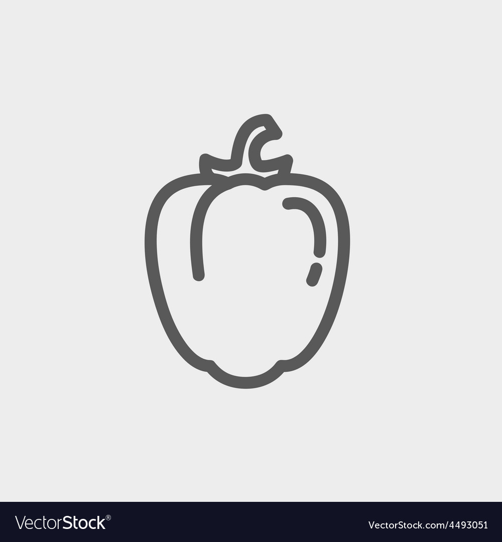 Bell pepper thin line icon Royalty Free Vector Image