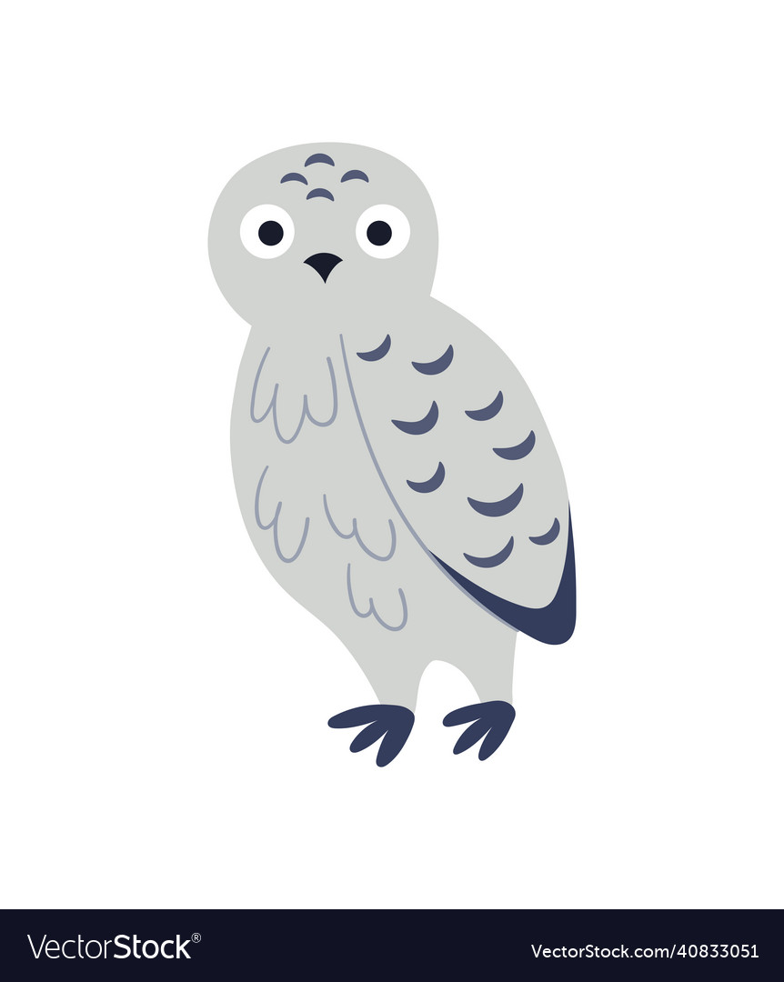 White grey owl