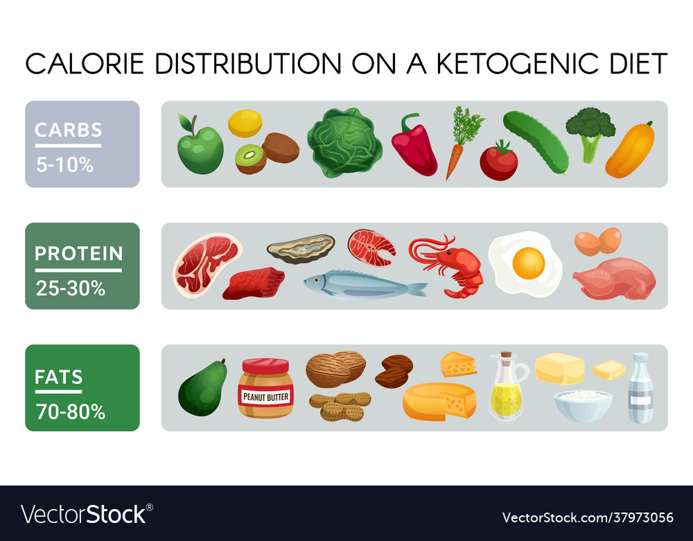 Ketogenic diet infographics Royalty Free Vector Image