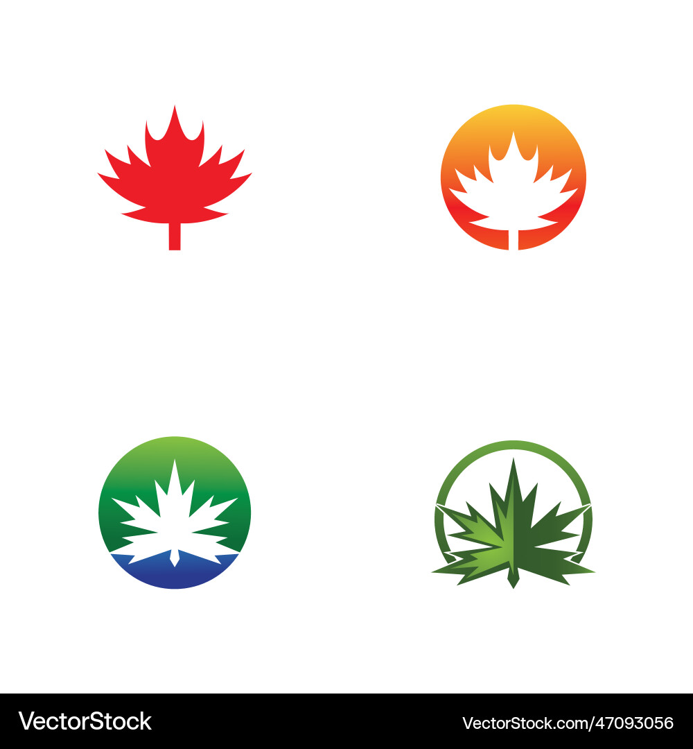 Maple leaf Royalty Free Vector Image - VectorStock