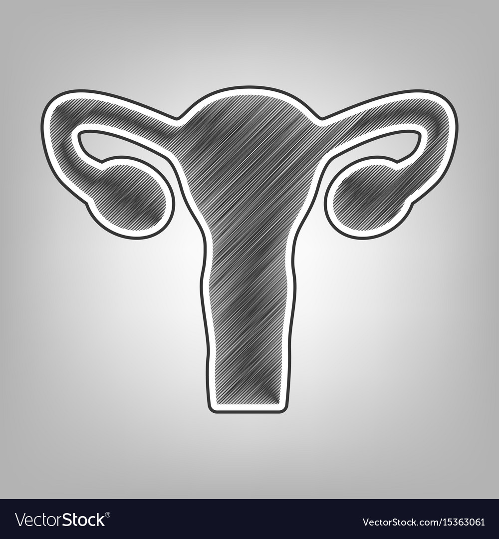 Human anatomy uterus sign pencil sketch Royalty Free Vector