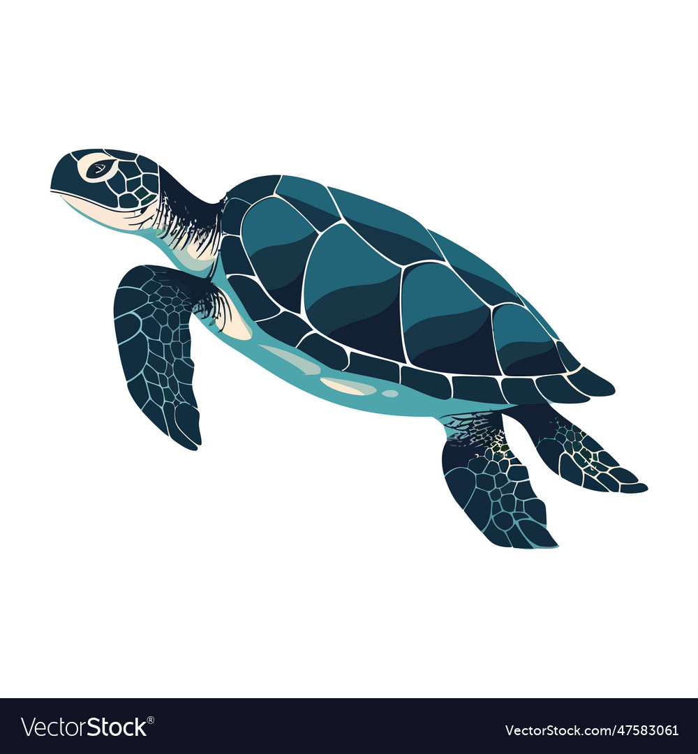 Slow swimming sea turtle in tropical waters Vector Image