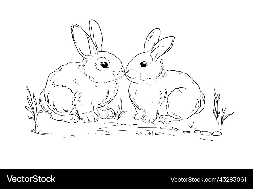 Two rabbits are sitting opposite each other a set Vector Image