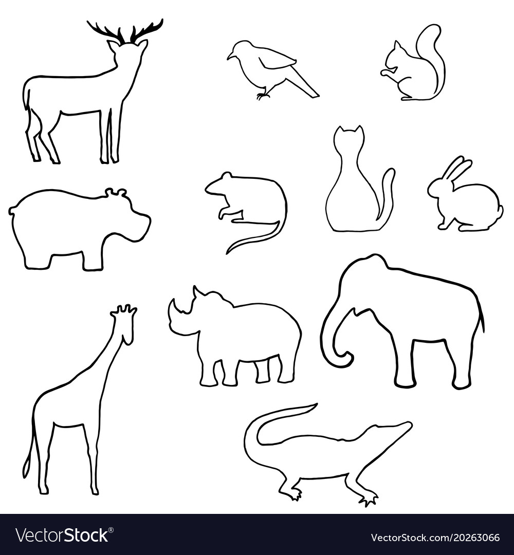 Animal Outline Patterns