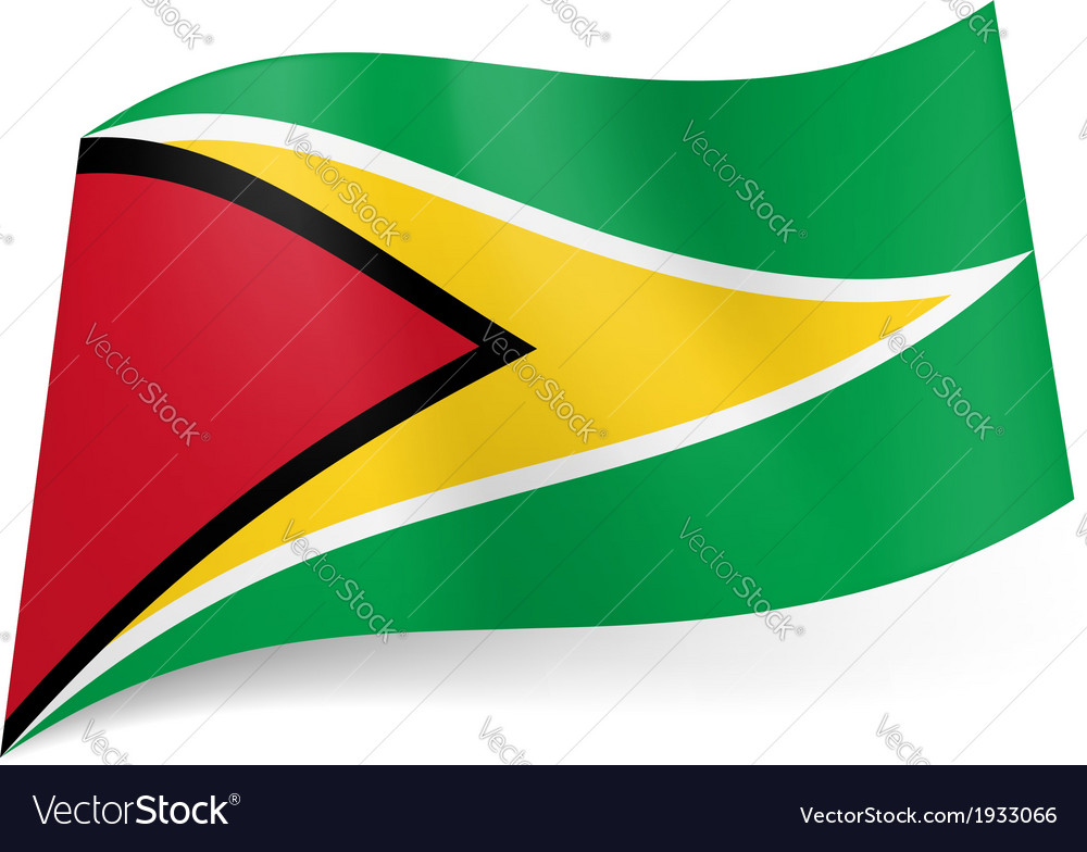 State flag of Guyana Royalty Free Vector Image