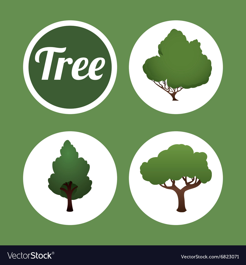 Eco tree design