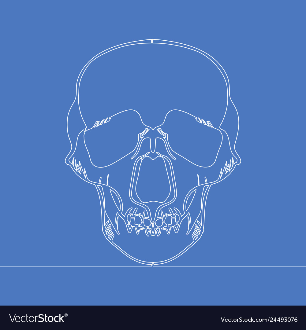 Continuous one line human skull concept