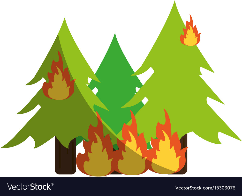 Trees Burning In Forest Royalty Free Vector Image