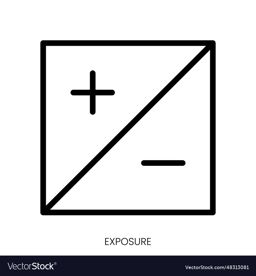 Exposure icon line art style design isolated Vector Image