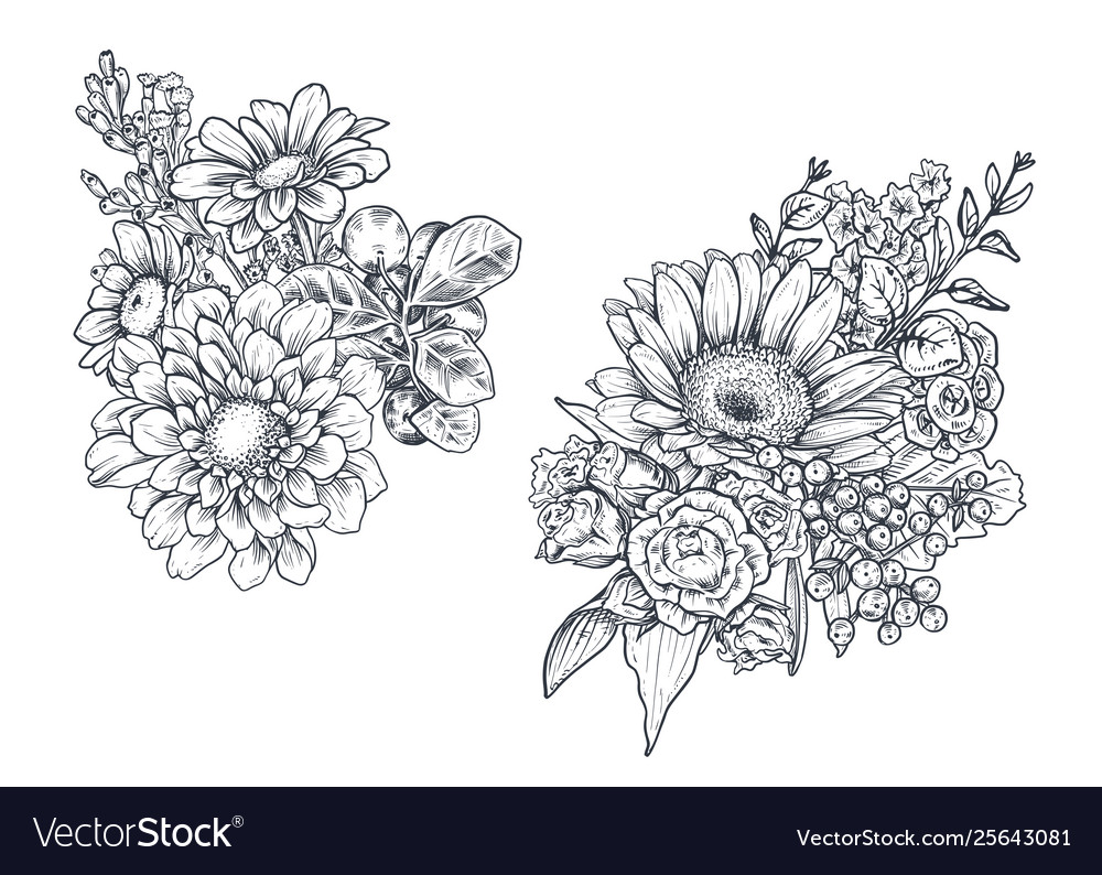 Set Floral Compositions Bouquets With Flowers Vector Image