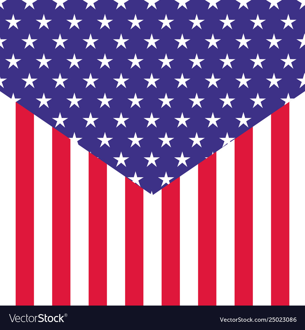American flag pattern background isolated icon Vector Image