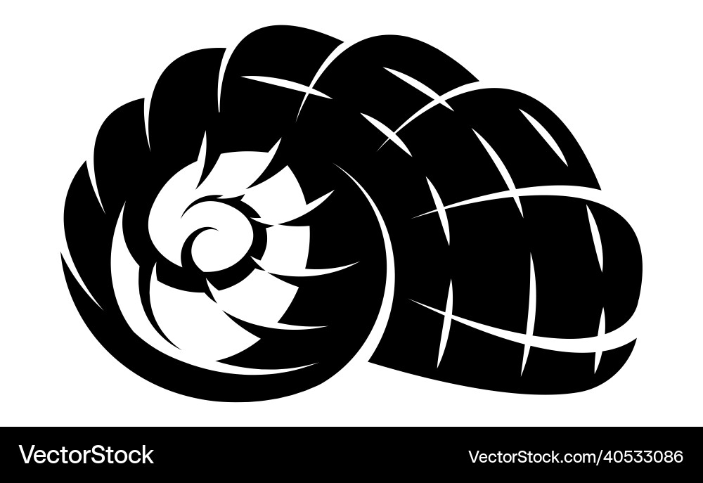 Monochrome with sea shell Royalty Free Vector Image