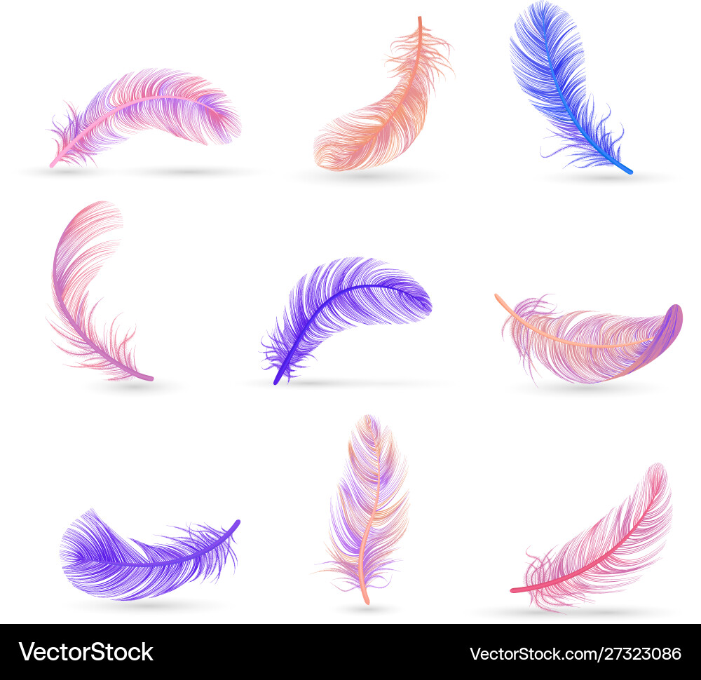 Realistic feather white background composition Vector Image
