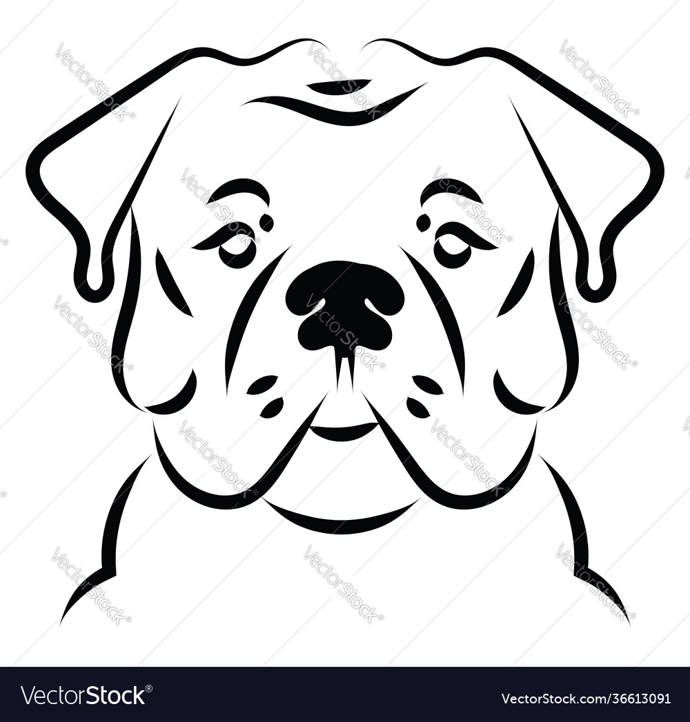 Sweet bulldog on white background Royalty Free Vector Image