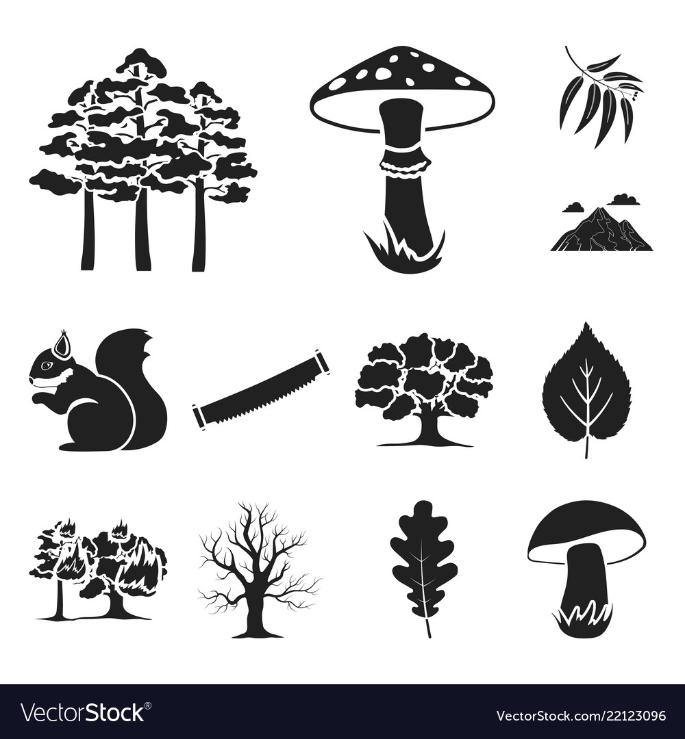 Forest and nature black icons in set collection