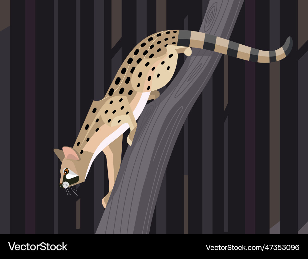 Geneta on a tree Royalty Free Vector Image - VectorStock