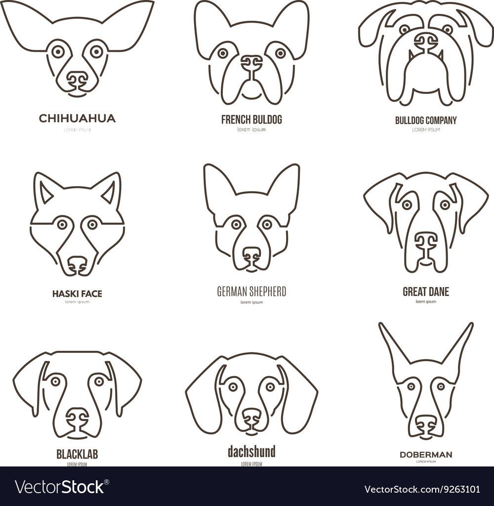 Dog breeds