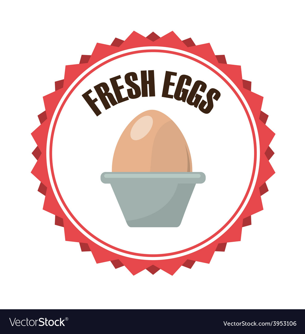 Fresh Eggs Royalty Free Vector Image - Vectorstock