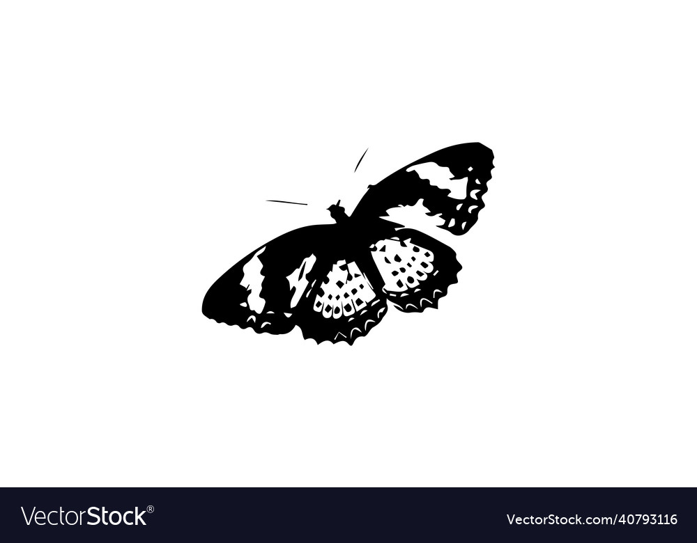 Logo butterfly black and white design Royalty Free Vector