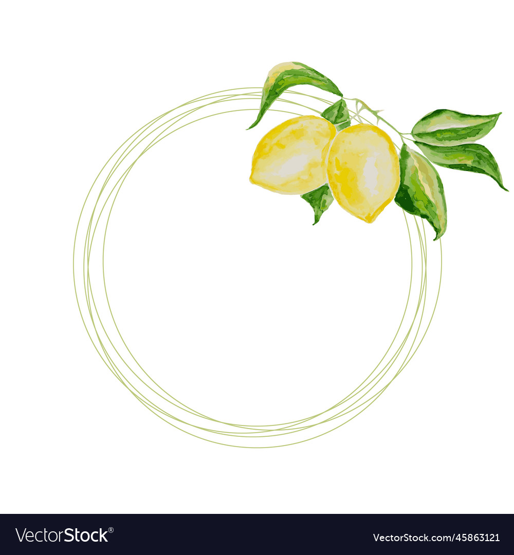 Lemon watercolor style vector image Lemon watercolor style