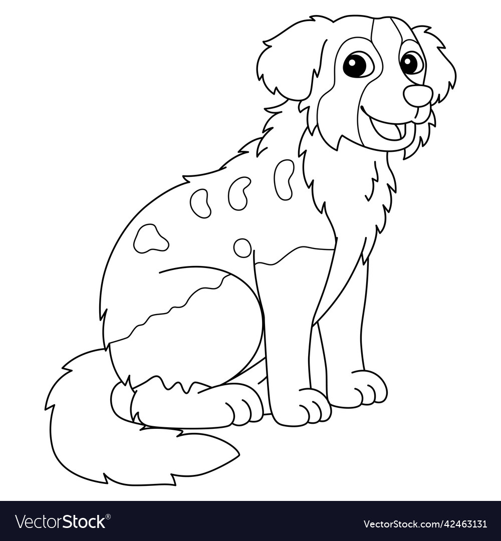Australian shepherd dog coloring page isolated Vector Image