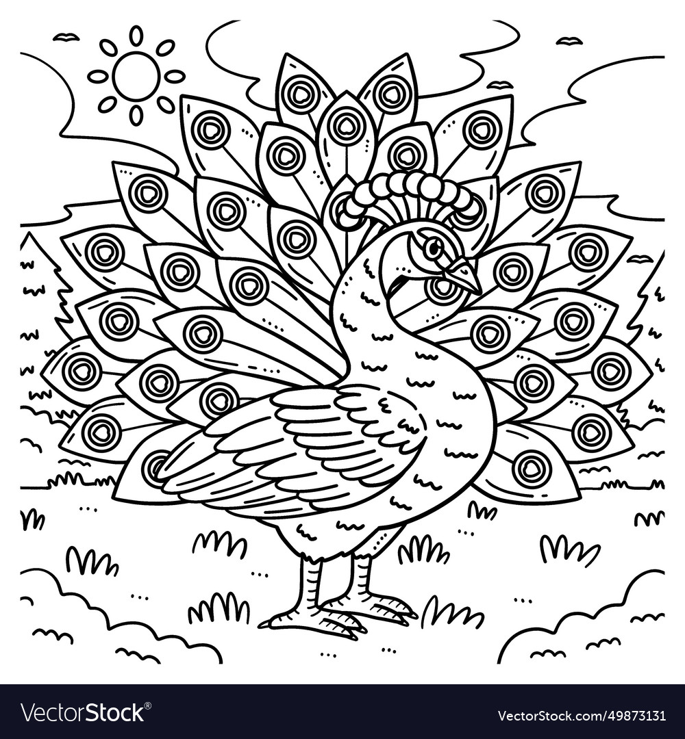 10 Stunning Peacock Bird Coloring Pages for Creativity