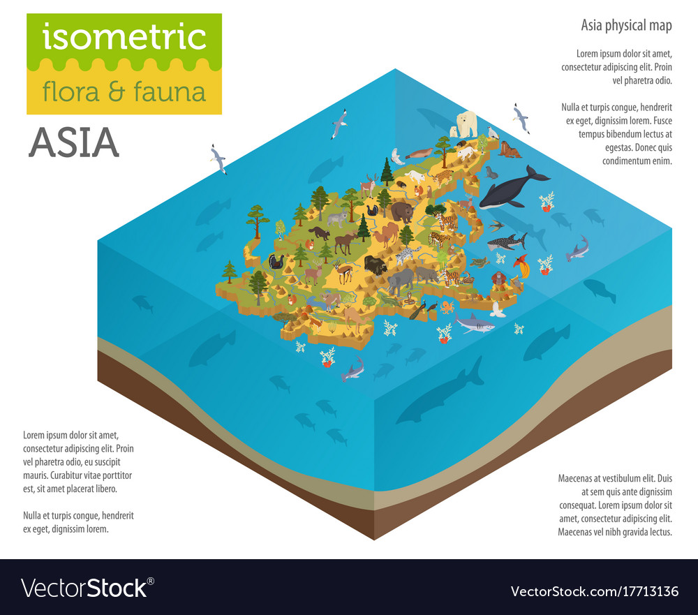 Isometric 3d asian flora and fauna map