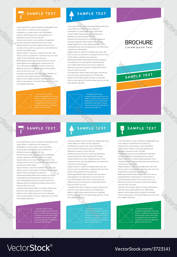 brochure tri fold layout design template vector image