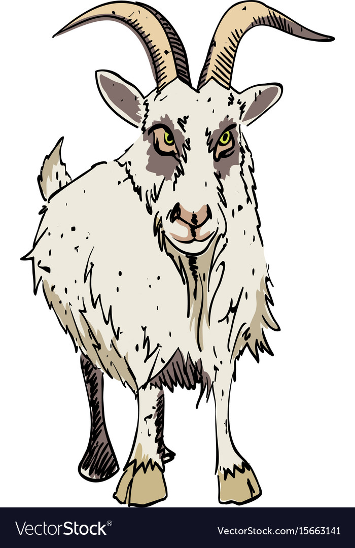 Cartoon image of goat Royalty Free Vector Image