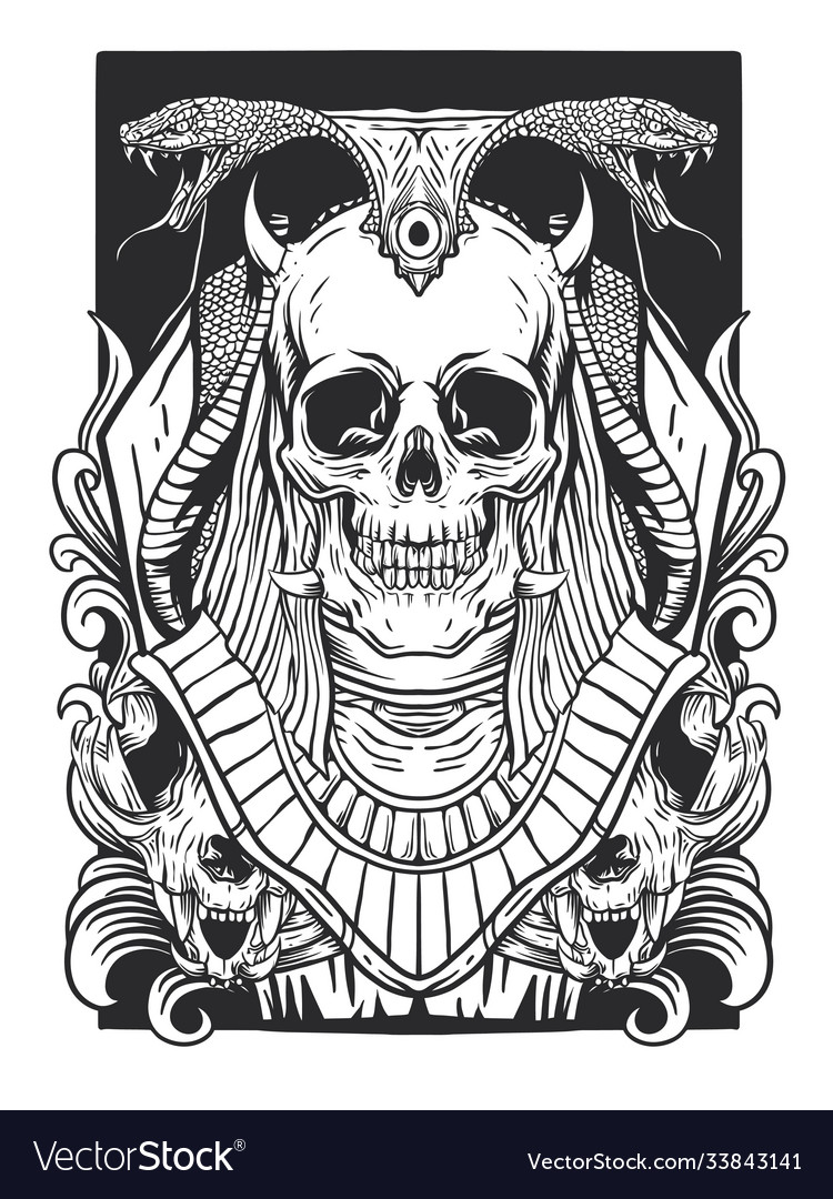 Skull anubis egypt Royalty Free Vector Image - VectorStock