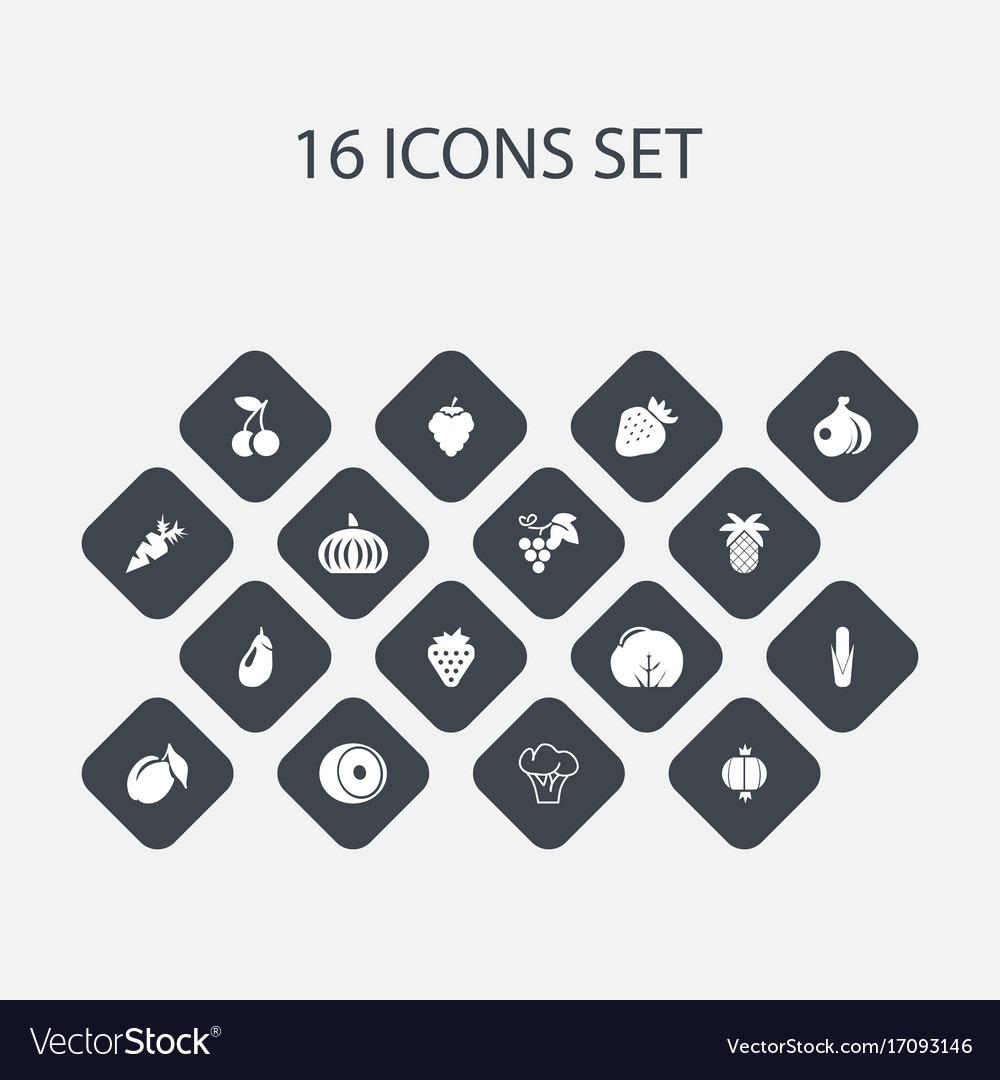 Set of 16 editable berry icons includes symbols