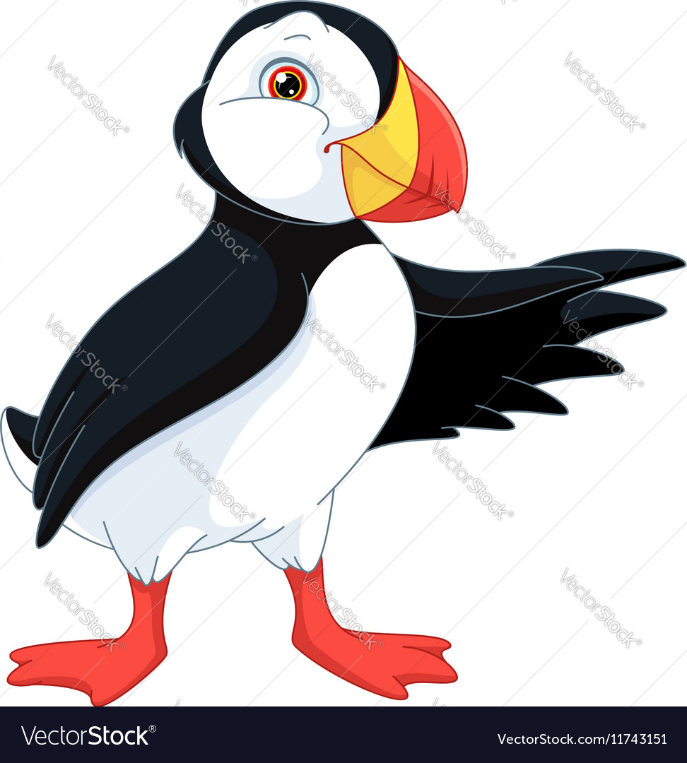 cartoon puffin