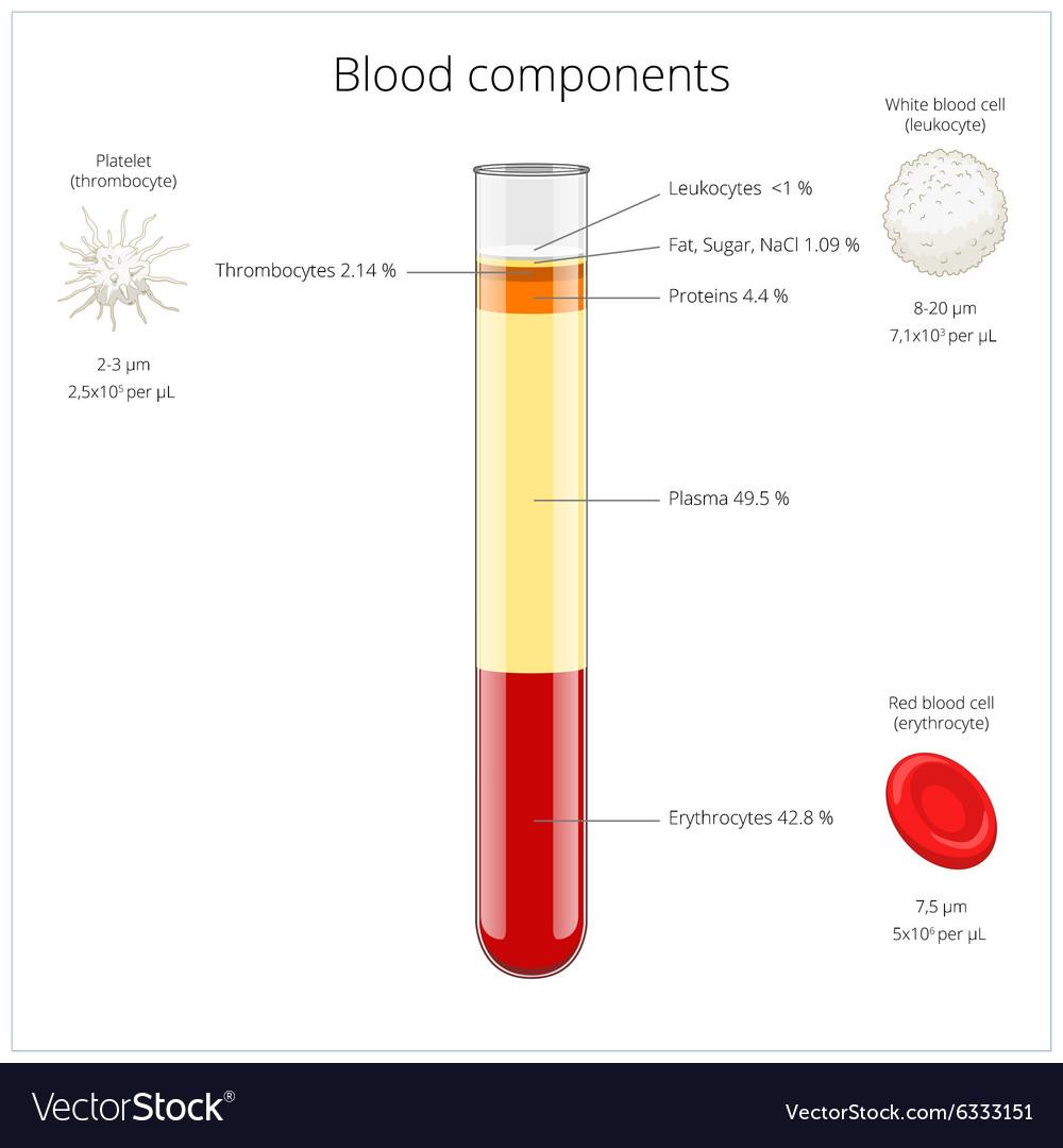 Components Of Human Blood Pie Chart A Visual Reference Of Charts Chart Master