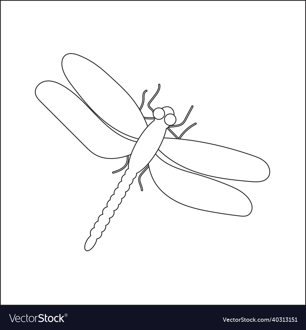 Dragonfly hand drawn doodle insect Royalty Free Vector Image