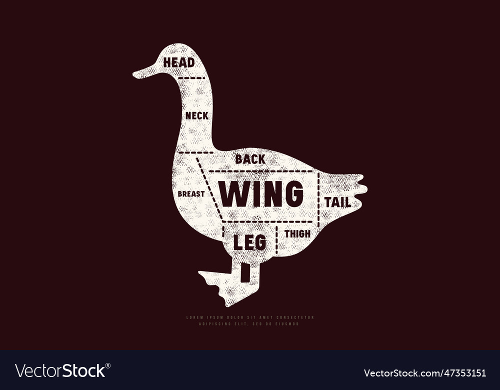 Goose cuts diagram in silhouette style Royalty Free Vector