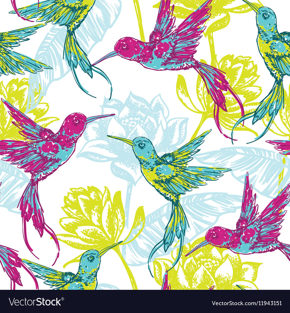 Hand draw tropical background with colibri bird