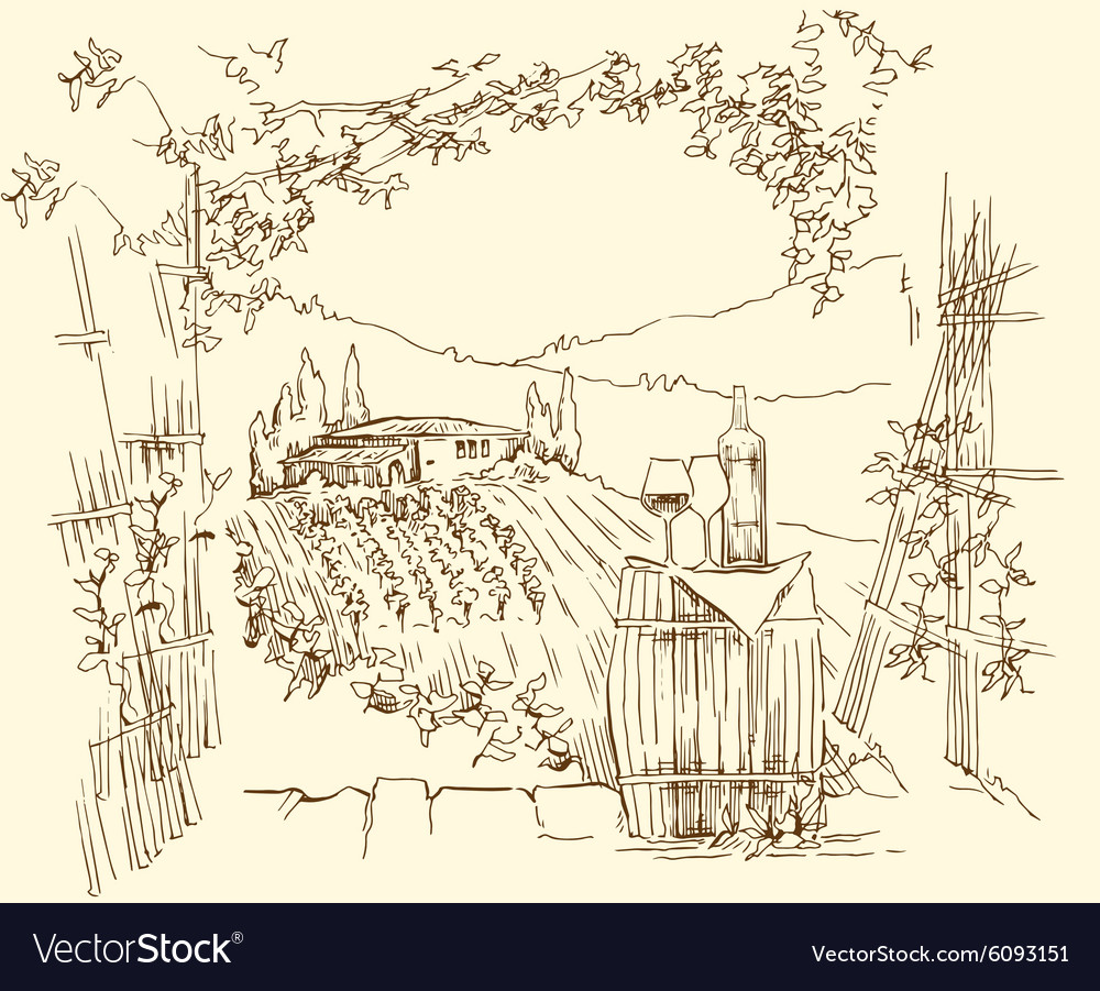 Hand made sketch grape fields and vineyards