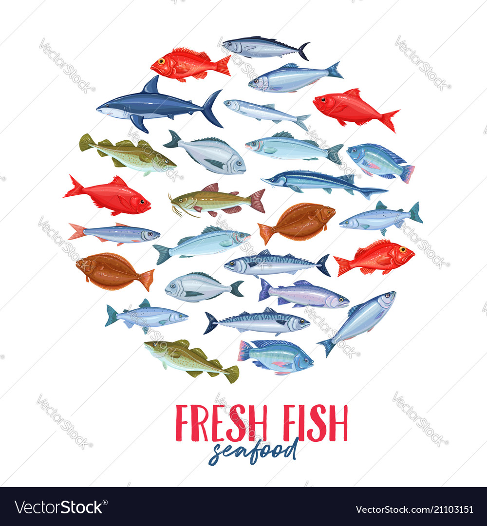 Set Banners Fish Royalty Free Vector Image Vectorstock