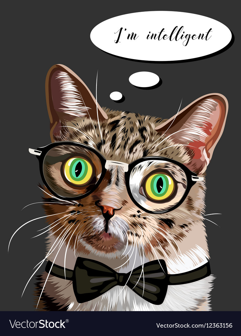 Hand drawn portrait cat with glasses and bow Vector Image