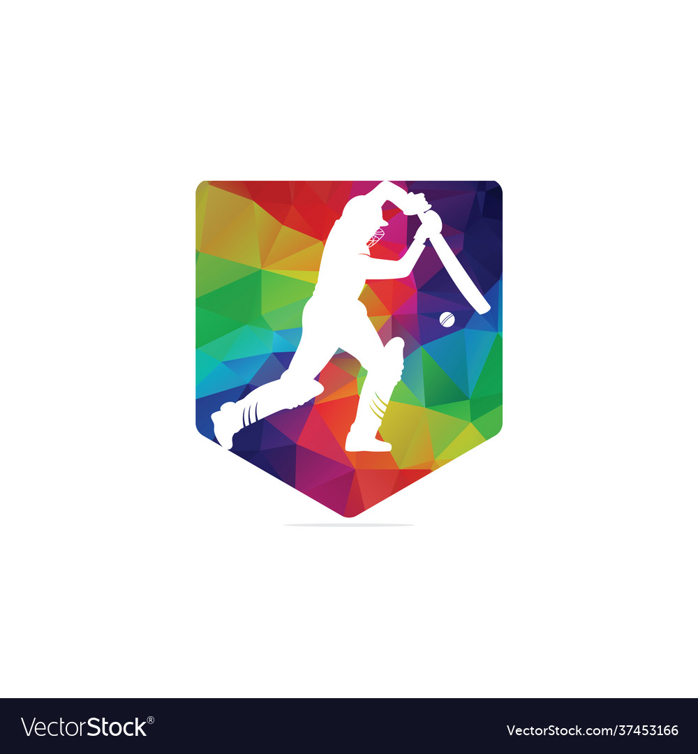 Polygon colorful pattern batsman playing cricket Vector Image